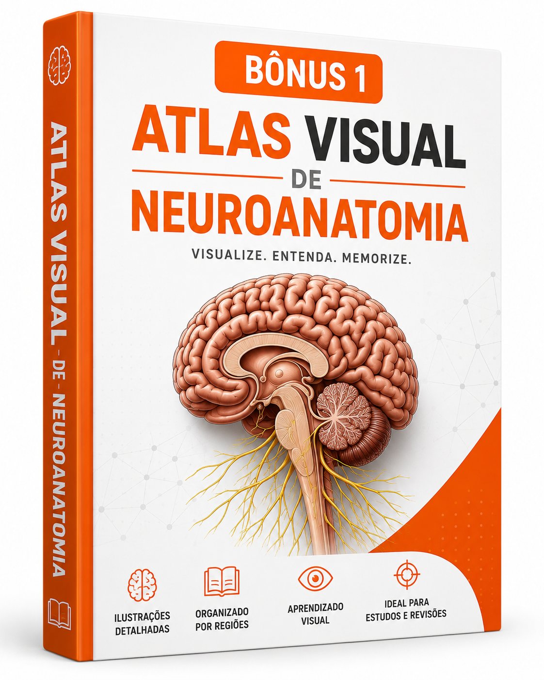 Bônus 1 — Atlas Visual de Neuroanatomia