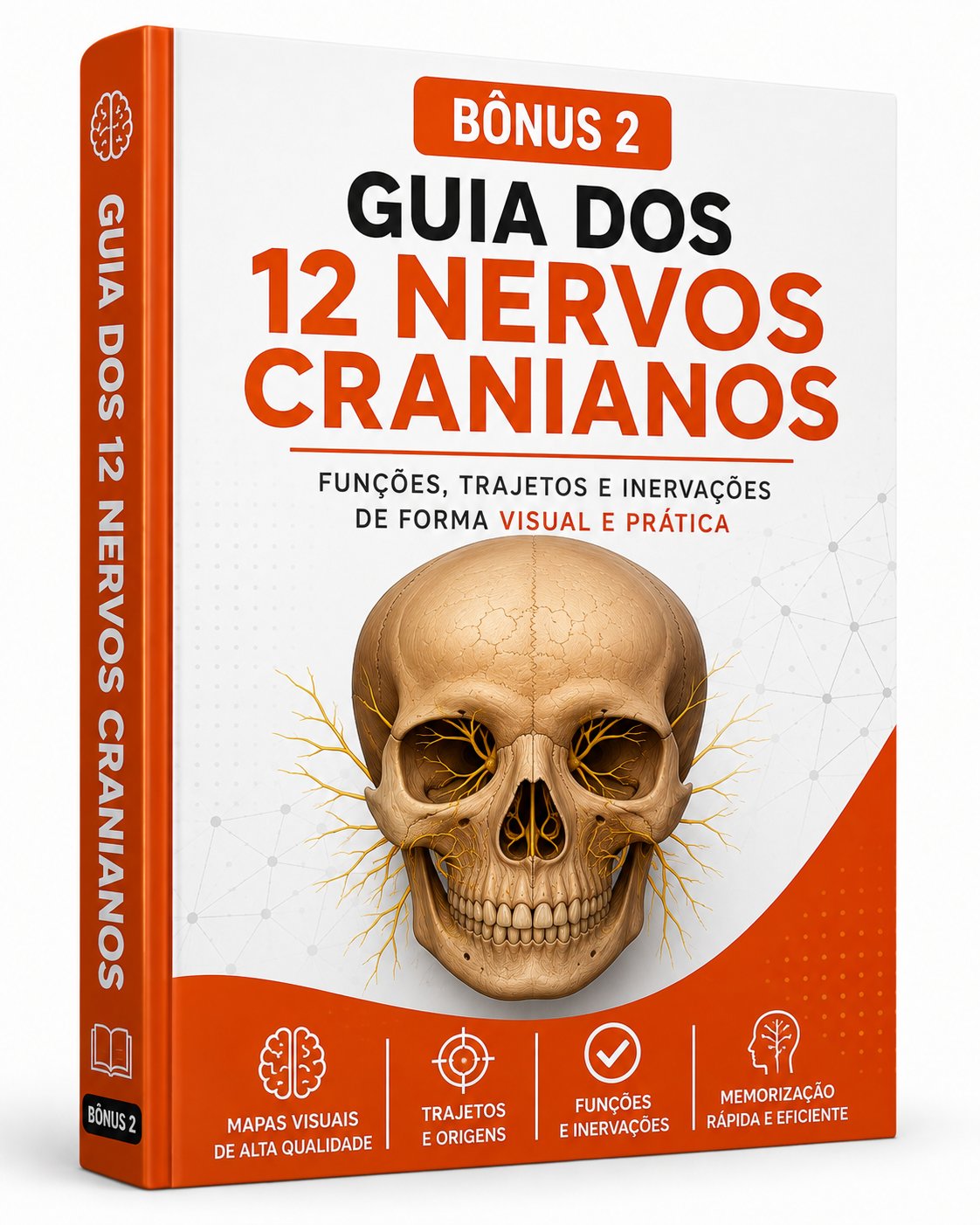 Bônus 2 — Guia dos 12 Nervos Cranianos