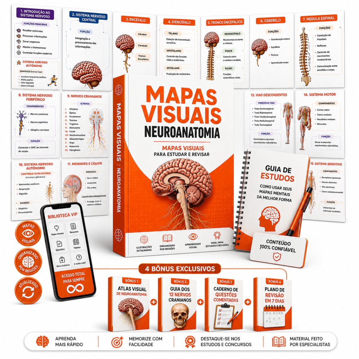 Mockup Mapas Visuais de Neuroanatomia
