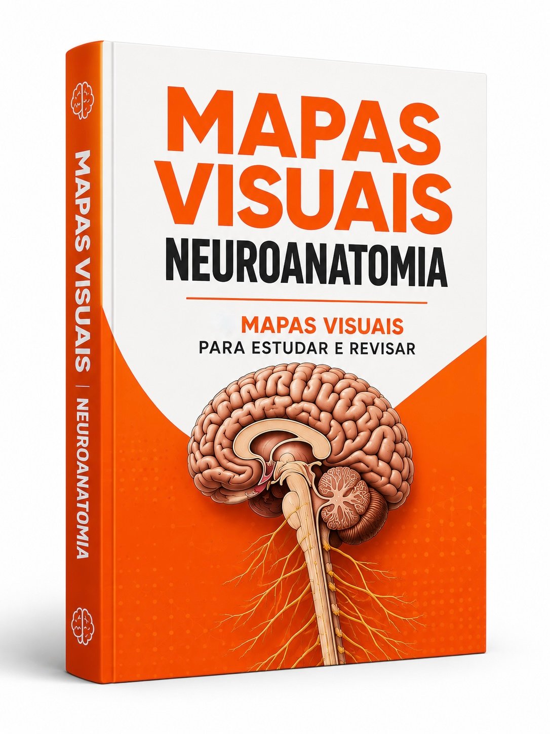 Capa Mapas Visuais (Plano Básico)